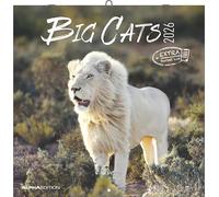 Alpha Edition - Big Cats Calendar 2026 - Wall Calendar 30 x 30 cm - For Wildlife & Nature Lovers - 12 Impressive Photographs of Predatory Cats, a Lot ... with Holidays & Holiday Dates: Big Cats