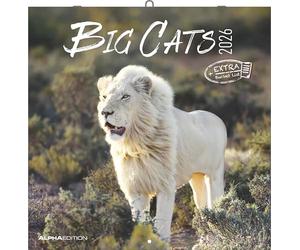 Alpha Edition - Big Cats Calendar 2026 - Wall Calendar 30 x 30 cm - For Wildlife & Nature Lovers - 12 Impressive Photographs of Predatory Cats, a Lot ... with Holidays & Holiday Dates: Big Cats