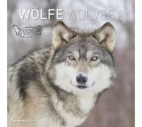 Alpha Edition - Wolves 2025 Brochure Calendar, 30 x 30 cm, Wall Calendar with Space for Notes and Appointments, Impressive Motifs of Wolves, Monthly Overview and Holiday Dates DE/AT/CH