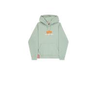 Alpha Industries Basic Big Logo Rubber Hoodie for Men Size 3XL - dusty green