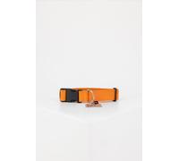 Alpha Industries Basic Dog-Tag Collar - Orange