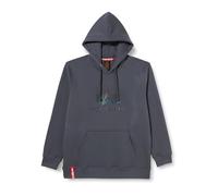 Alpha Industries Basic Hoody Rainbow Ref. Print Hooded Sweat for Men Greyblack