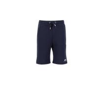 Alpha Industries Basic Small Logo Short Shorts for Men Size 3XL - rep.blue