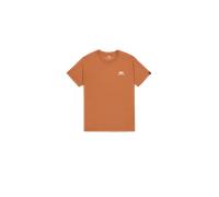 Alpha Industries Basic Small Logo T-Shirt for Men Size 3XL - hazel brown