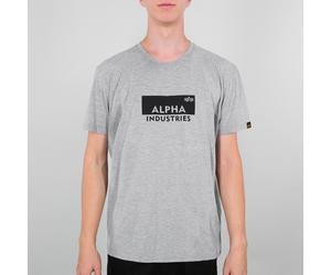 Alpha Industries Box Logo T-Shirt, grey, size M for Men