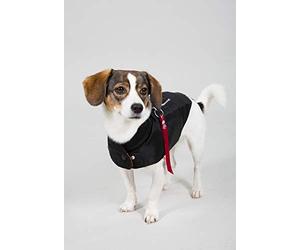 Alpha Industries Dog MA-1 Nylon Flight Jacket for Dogs Black