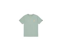 Alpha Industries Men's Backprint T-Shirt, Frost Green, S