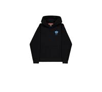 ALPHA INDUSTRIES Men's Spray Print Hooded Sweatshirt (pack of 1)