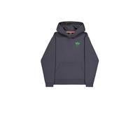 ALPHA INDUSTRIES Men's Spray Print Hooded Sweatshirt (pack of 1)