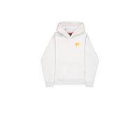 Alpha Industries Men's Spray Print Hoodie, Pastel Grey Melange, M