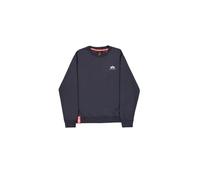 Alpha Industries Basic Small Logo Sweatshirt
