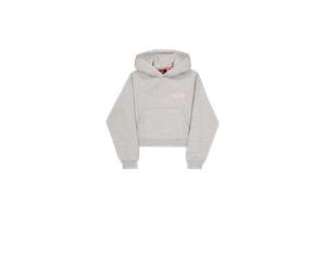 Alpha Industries Riot Hoodie Women for Women Size XS - grey heather