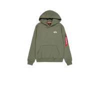 Alpha Industries Signature Back Print Hoodie for Men Size M - sage-green