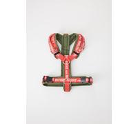 Alpha Industries Unisex Dog RBF Harness Dark Olive XL