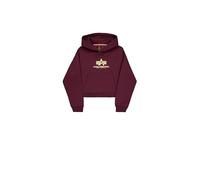 Alpha Industries Basic Big Logo Puff Print Hoodie Women for Women Size L - dark cherry