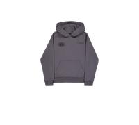 Alpha Industries World Logo Backprint Hoodie for Men Size S - vintage grey