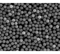 Alpha Nanotech Magnetic Silica Beads, 1 um Hydroxyl-Terminated, 10 ml, 50 mg/ml