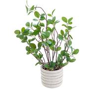 AlphaAcc 12.6" Artificial Plants Fiddle Leaf Fig Decorative Fake Plants Potted in White Round Concrete Planter Realistic Faux Plants Potted for Living Room Kitchen Bedroom Office and Tabletop Decor