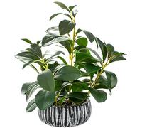 AlphaAcc Artificial Succulents Plants Decor Greenery Fake Succulents Indoor Potted Fake Plant with Rustic Black Clay Planter for Farmhouse Room Bathroom Bedroom Kitchen Office Dese Coffee Table Decor