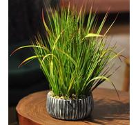 AlphaAcc Fake Plants Greenery Ficus Leaf Artificial Plant Indoor Bathroom Potted Faux Plant Decor with White Marble Planter for Kitchen Counter Bedroom Office Coffee Table Decoration