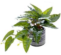 AlphaAcc Faux Plant Decor Potted Artificial Small Greenery Ivy Leaves Plants with Black and White Geometry Patterns Cement Pot for Office Desk Home Kitchen Decoration (Taro Leaf)