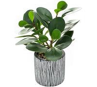 AlphaAcc Small Plants for Shelf Decor Real Looking Greenery Artificial Plants Indoor Potted Fake Plant with Rustic Black Clay Planter (ARTGRS230609-2)