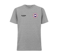 Alphonso Davies Logo Men's T-Shirt - Gray / L