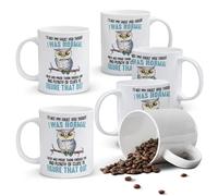 Alphynix 1pc 11oz White Ceramic Mug Featuring a Witty Owl and Sarcastic Quote, Unique Personality Declaration Gift for Thanksgiving or Christmas