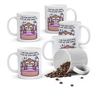 Alphynix 1pc 11oz White Mug with "I Can Rise and Shine... Just Not at the Same Time" Quote & Sleeping Owl, Relatable Christmas or Thanksgiving Gift