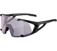 ALPINA HAWKEYE Q-LITE glasses matt black-glass silver plated