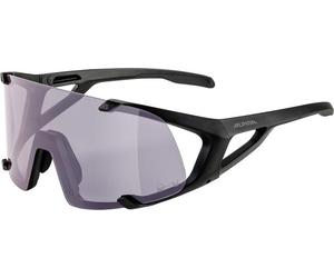ALPINA HAWKEYE Q-LITE glasses matt black-glass silver plated