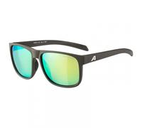 Alpina - Nacan III Mirror Cat. 3 - Sunglasses multi