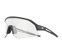 Alpina - Sonic HR V Photochromic S1-3 - Cycling glasses white/grey