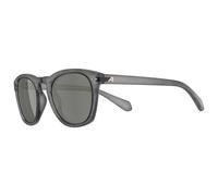 Alpina - Sunbeam S3 - Sunglasses grey