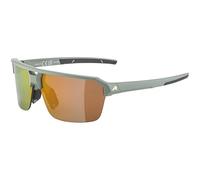 ALPINA Swift HR Stylish Adult Sunglasses - Matte Willow Green