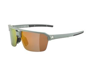 ALPINA Swift HR Stylish Adult Sunglasses - Matte Willow Green