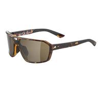ALPINA Swift - Stylish sunglasses for adults, havana gloss
