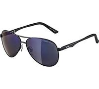 ALPINA Unisex - Adult, A 107 sunglasses, black matt, One Size