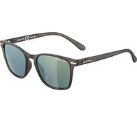 ALPINA Unisex - Adult, YEFE sunglasses, grey transparent matt, One Size