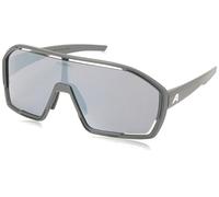 ALPINA Unisex Bonfire Sunglasses, Midnight Grey Matt, One Size