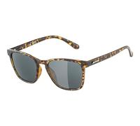Alpina Yefe Sports Sunglasses - Havana Gloss/Black