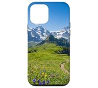 Alpine Meadow Mountain Path Valley Landscape Photography Case for iPhone 12 mini