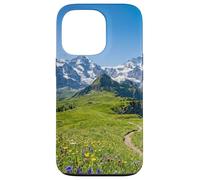 Alpine Meadow Mountain Path Valley Landscape Photography Case for iPhone 13 Pro