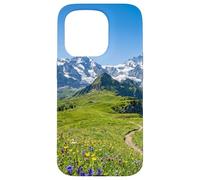 Alpine Meadow Mountain Path Valley Landscape Photography Case for iPhone 15 Pro