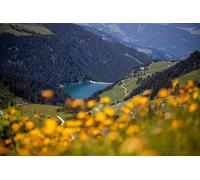 Alpine Valley-500-Piece Puzzle: Creative and Unique Gifts for Home Wall Decoration 14 years+