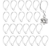 Alpinleux 24 Pcs Leverback Earring Hooks, Stainless Steel Clasp Hoop, Hypoallergenic Dangles Earring Hooks, French Ear Wire Findings for Women, DIY Crafts, Jewelry Making (Silver)