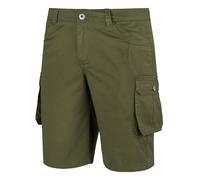 Alpinus Hekla Shorts - Green