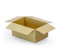 AlPoundz Single Wall Cardboard Shipping Boxes 229x152x102mm (9x6x4") Pack of 30 Cartons (229x152x102mm (9x6x4"))