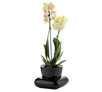 alqua 19CM Self Watering Plant Pots - Black Plastic Flower Pots with Drainage - Modern Glossy Planters for Indoor & Outdoor Plants - Large Garden Pots - Elegant Plant Containers