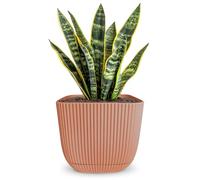 alqua 19CM Square Self Watering Plant Pot - Pink Plastic Flower Pot with Drainage - Large Modern Matte Planter for Indoor & Outdoor Use - Decorative Square Garden Pot - Stylish Plant Container